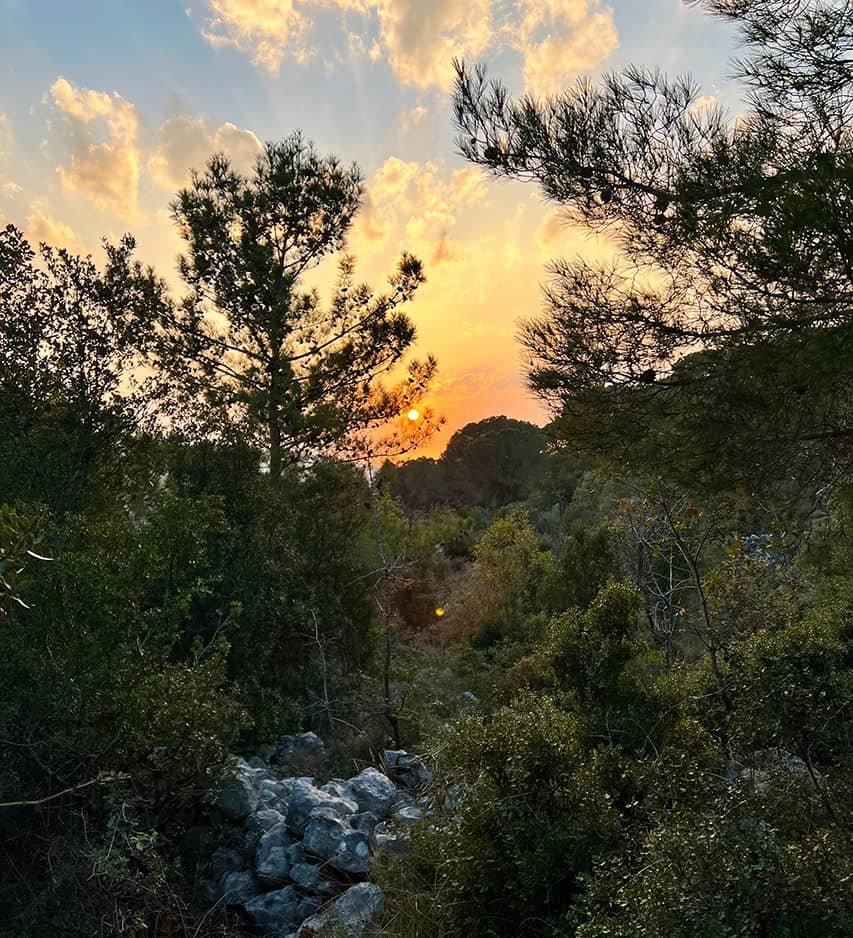 Scappa resort hiking trail, activities, fun